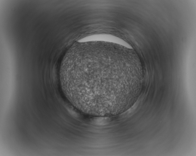 X0000111150136200907141349