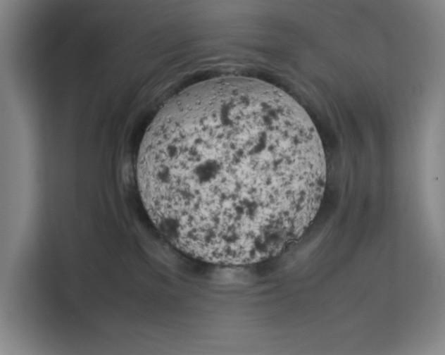 X0000111150137200907141349