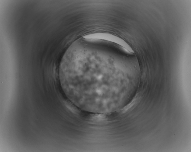 X0000111150140200907141349