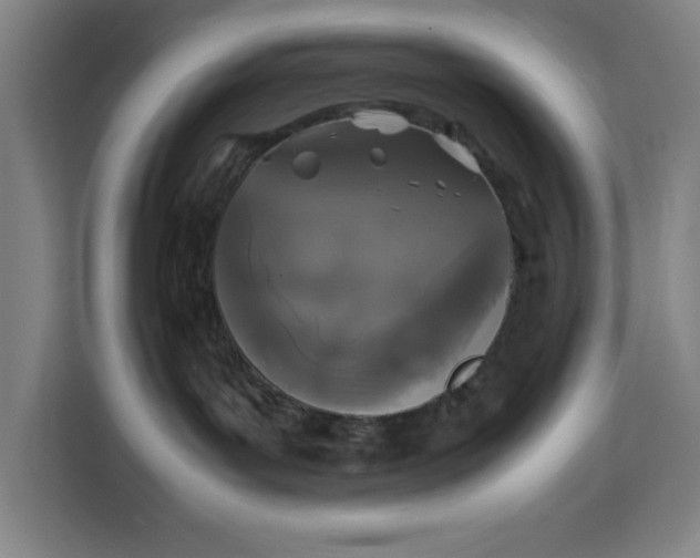 X0000111150143200907141349