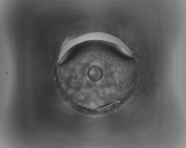 X0000111150144200907141349