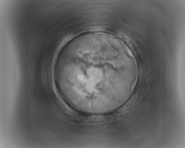 X0000111150145200907141348