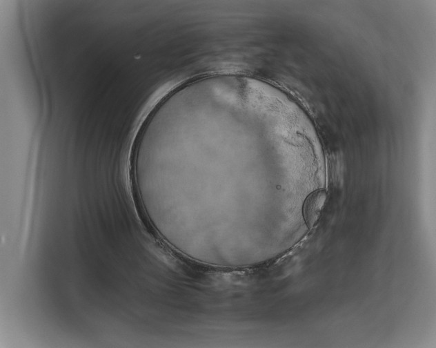 X0000111150147200907141348
