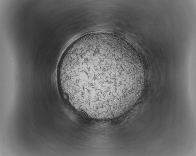 X0000111150148200907141348
