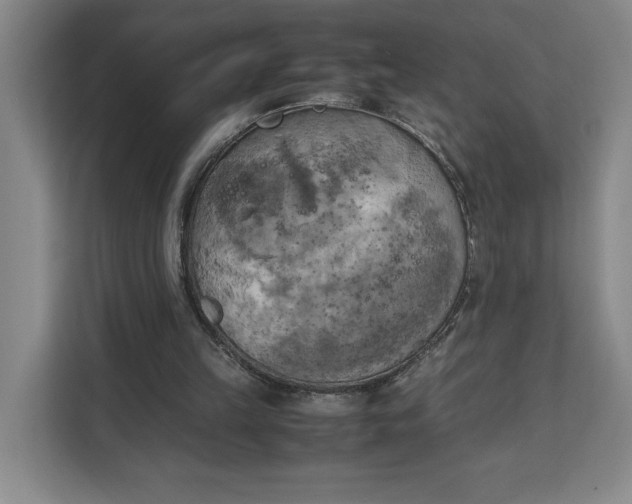 X0000111150149200907141348