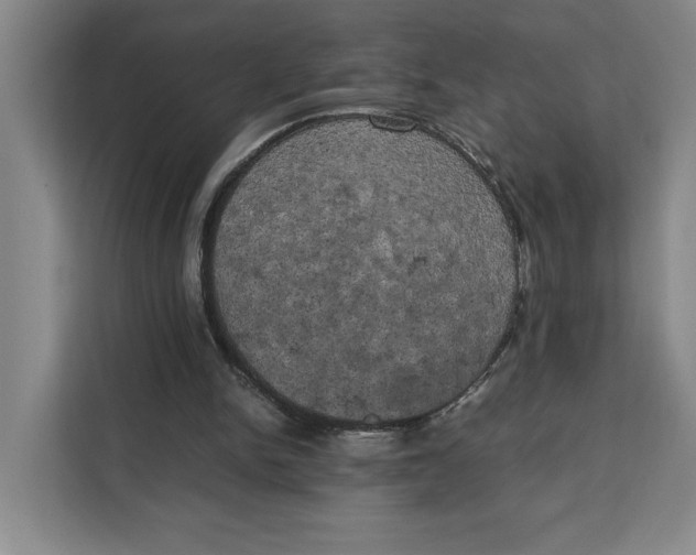 X0000111150150200907141348