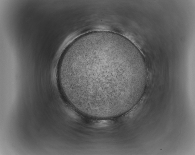 X0000111150151200907141348
