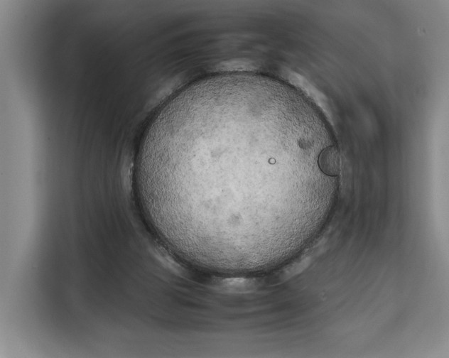 X0000111150153200907141348