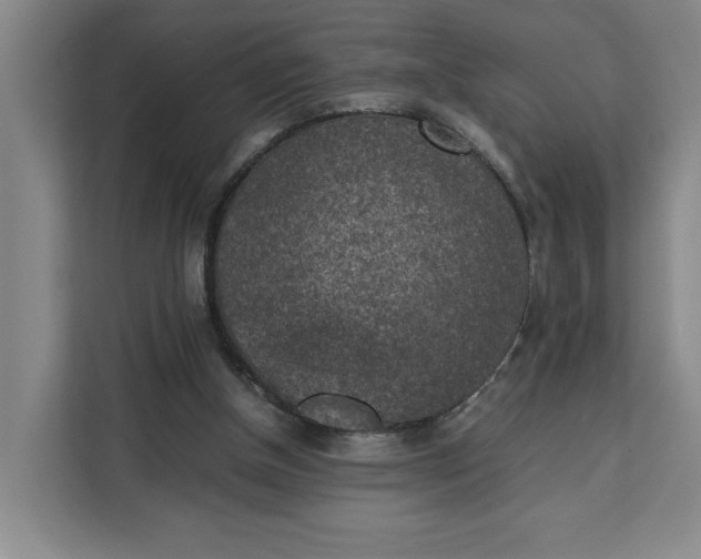 X0000111150154200907141348