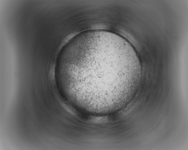 X0000111150155200907141348