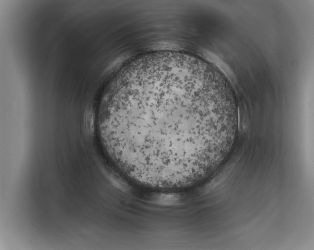 X0000111150157200907141348