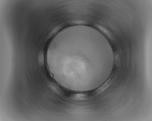 X0000111150158200907141348