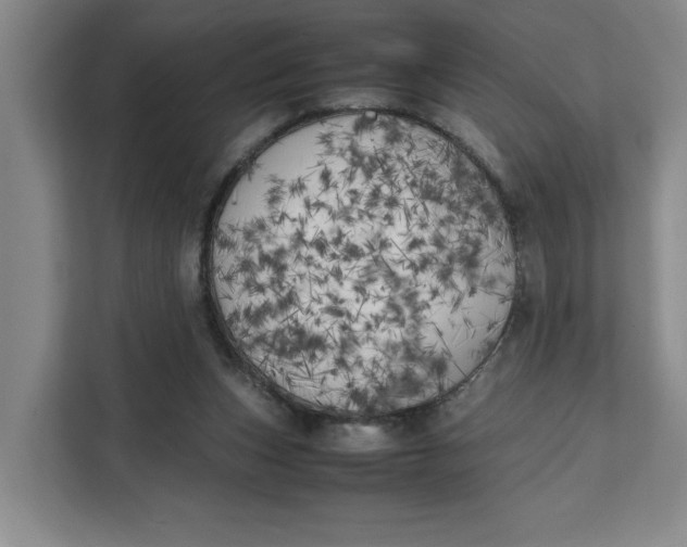 X0000111150159200907141348