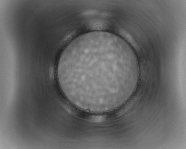 X0000111150161200907141348