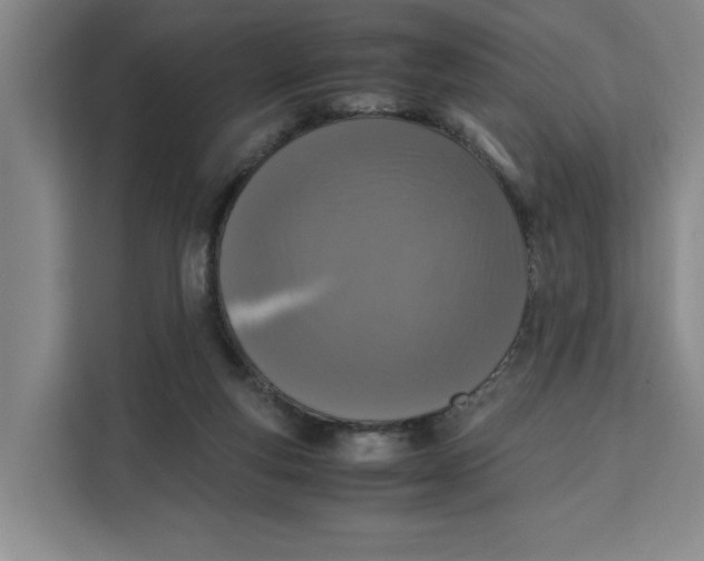 X0000111150163200907141348