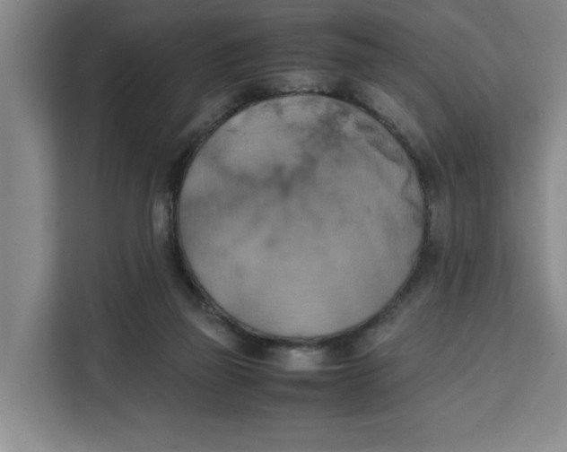 X0000111150165200907141348