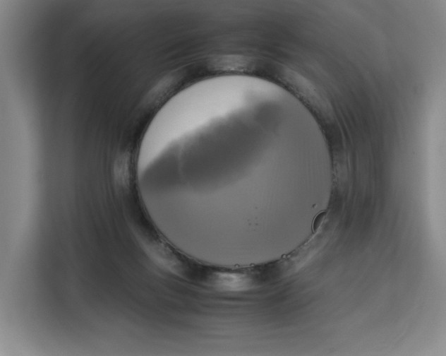 X0000111150167200907141348