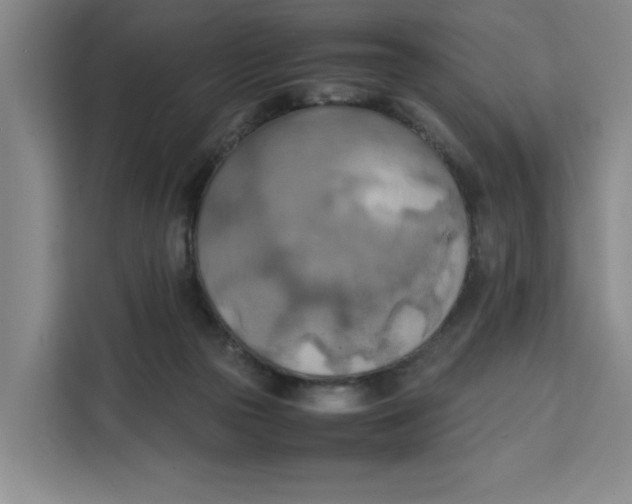 X0000111150169200907141348