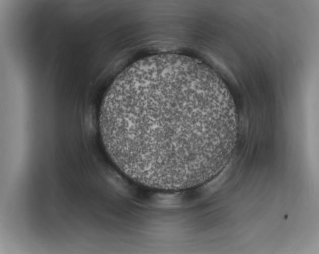 X0000111150170200907141348