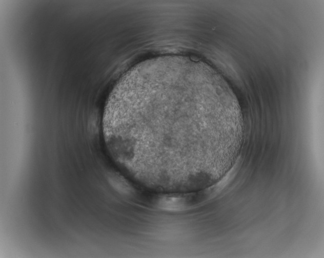 X0000111150174200907141348