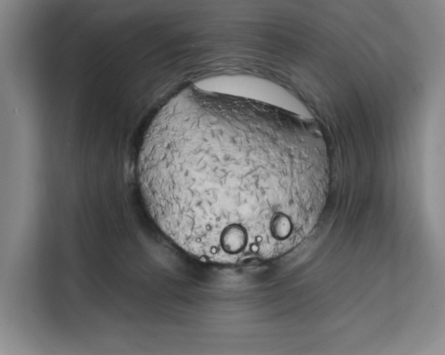 X0000111150176200907141348