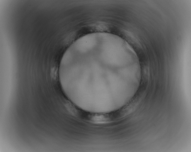 X0000111150177200907141348