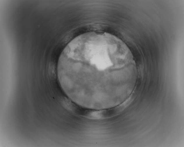 X0000111150178200907141348