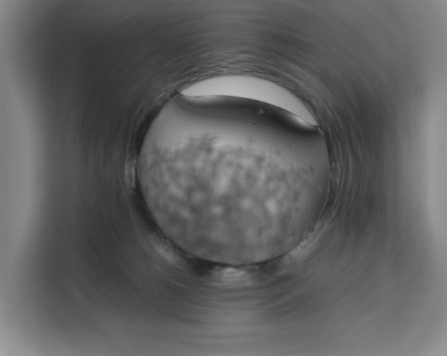 X0000111150180200907141349