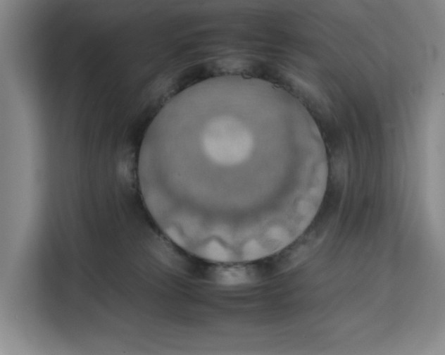 X0000111150181200907141349