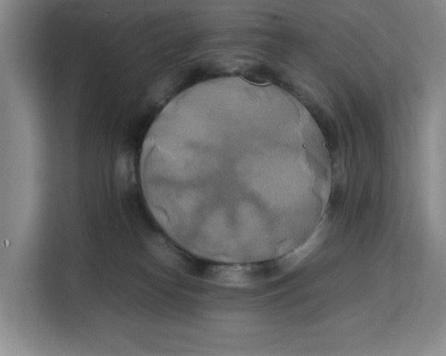 X0000111150182200907141349