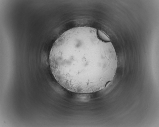 X0000111150187200907141349