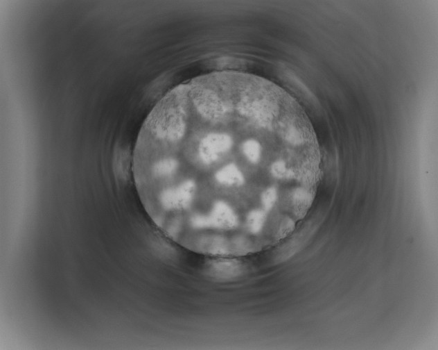 X0000111150189200907141349