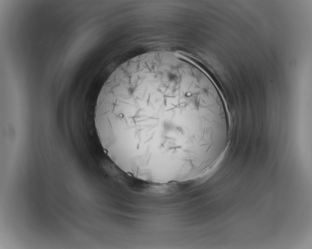 X0000111150190200907141349