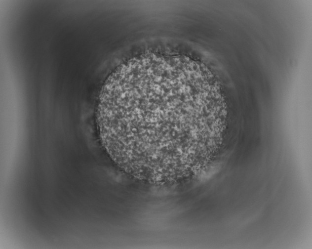 X0000111150192200907141349