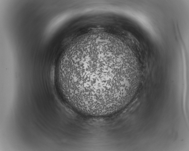 X0000111150194200907141348