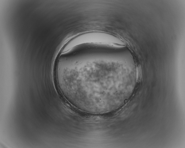 X0000111150195200907141348