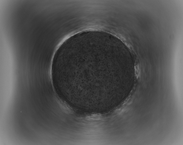 X0000111150196200907141348