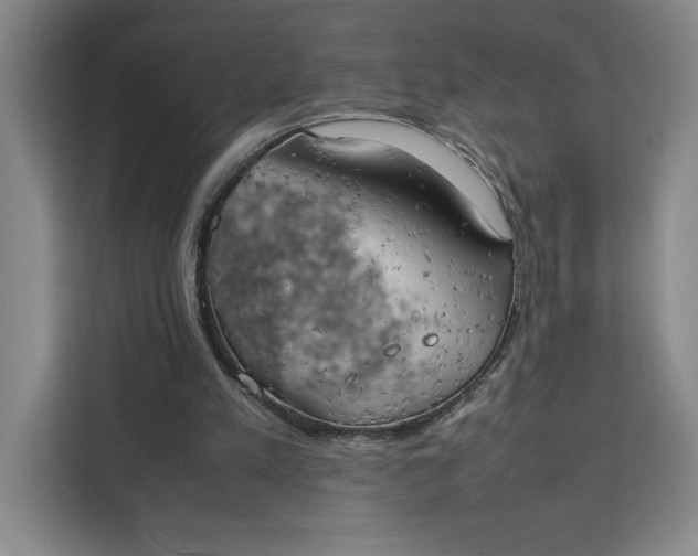 X0000111150197200907141348