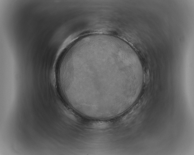 X0000111150198200907141348