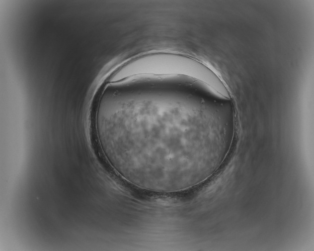 X0000111150199200907141348