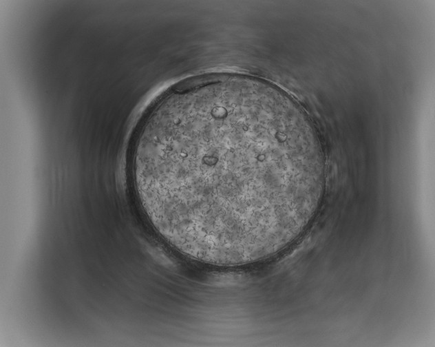 X0000111150200200907141348
