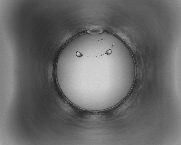 X0000111150201200907141348