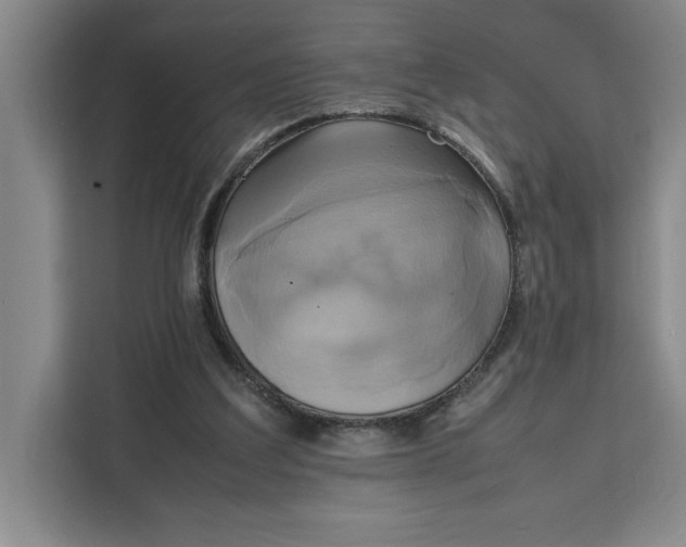 X0000111150203200907141348