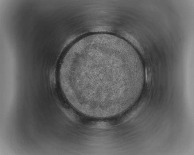 X0000111150204200907141348