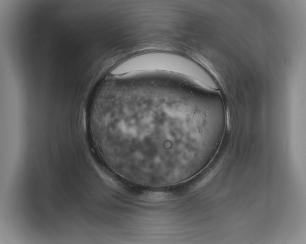 X0000111150205200907141348