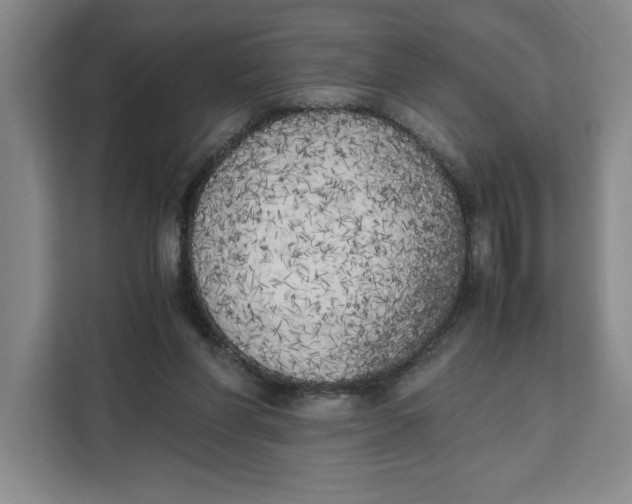 X0000111150206200907141348