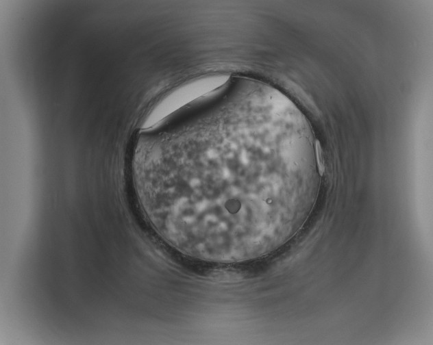 X0000111150207200907141348