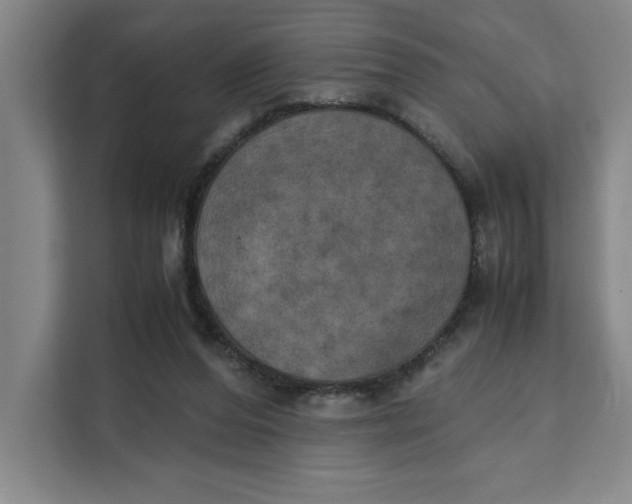 X0000111150208200907141348