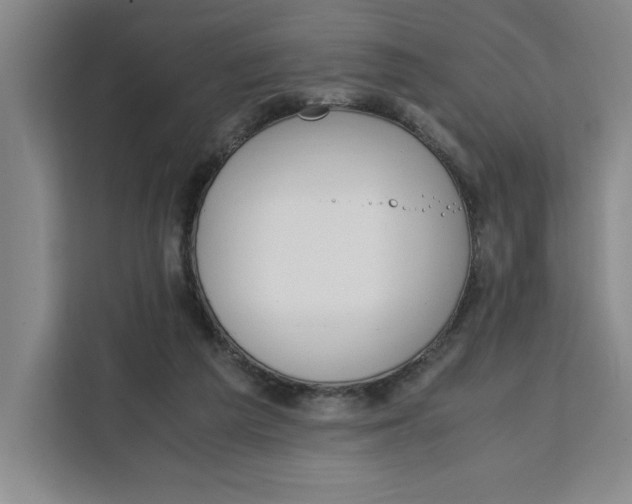 X0000111150209200907141348