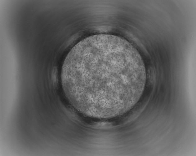 X0000111150212200907141348